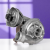 62fdfb45516d21ec48b280da066a52ea.png